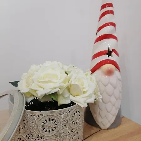 아파트 New Moment Lux Zarkovo