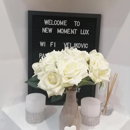 Apartment New Moment Lux Zarkovo